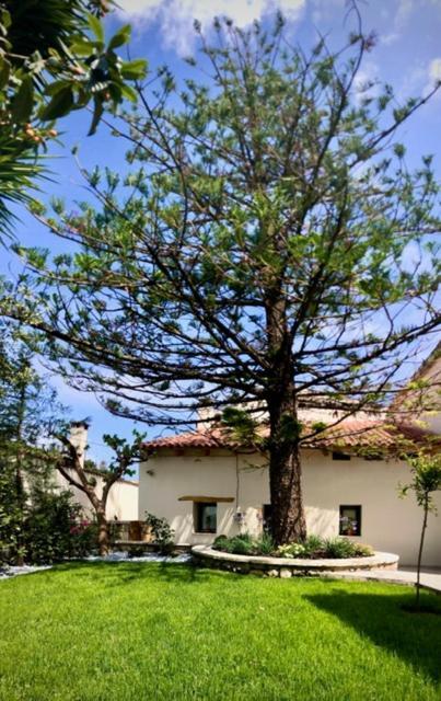 Maison d'hôtes Chorio House Platanias à Vrísai Extérieur photo